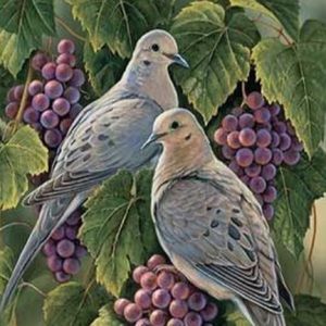 Meet your Posher, Marie